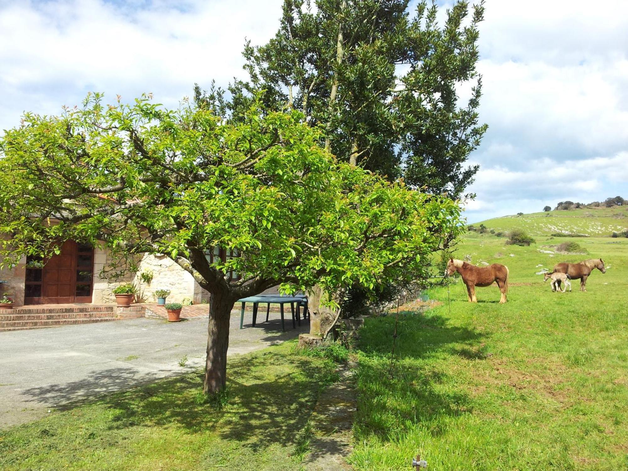 Maison d'hôtes Posada La Roblera à Orena Extérieur photo